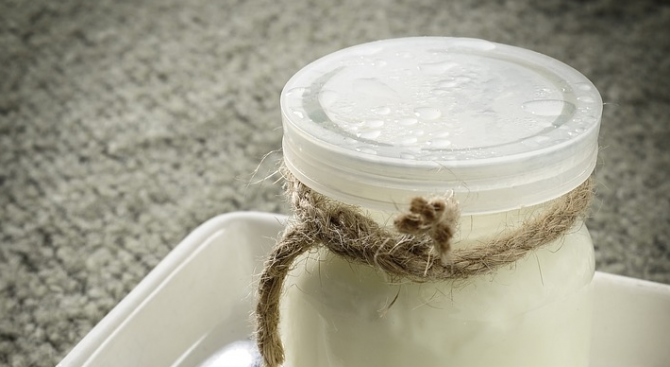 България може да загуби като традиционни храни Българско кисело мляко