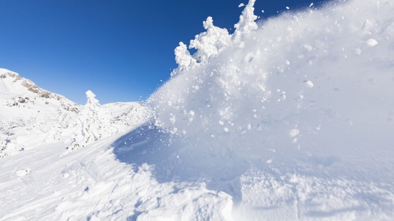 Осем души загинаха в серия от лавини в Австрийските Алпи