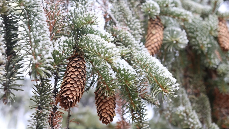 Днес облачността ще е разкъсана над централните и източните райони