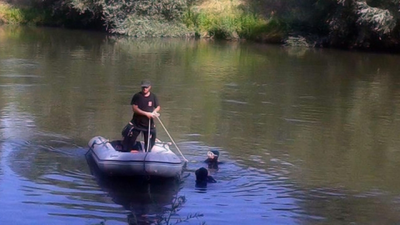 Дете се удави във водите на ВЕЦ край Мездра научи