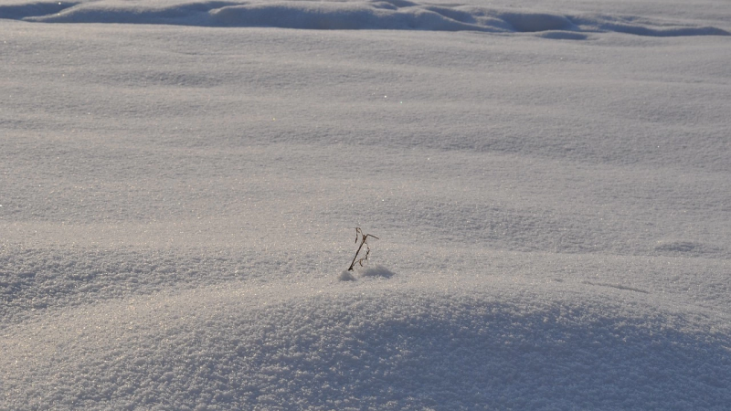 Към 17 00 ч според измерената дебелина на снежната покривка в