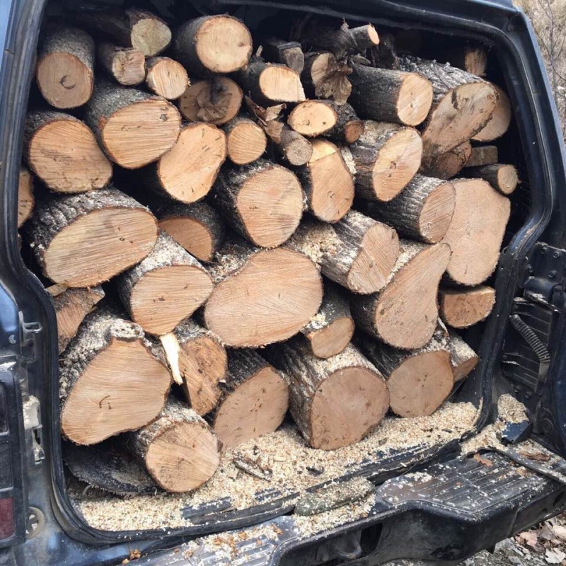 Вчера полицаи от районното управление в Бяла Слатина хванали бракониер