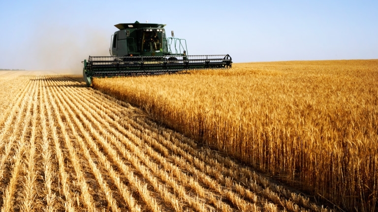 Русия е ожънала пшеница за около 1 милиард долара в