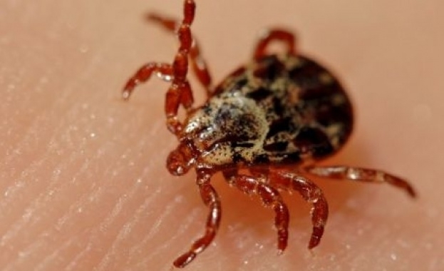 До момента на територията на страната са регистрирани около 70