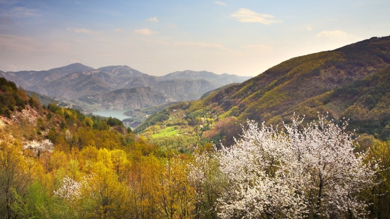 През нощта ще е предимно ясно утре преди обяд