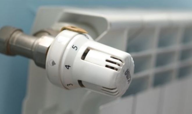 Училищата яслите детските градини социалните домове и центрове в Лом