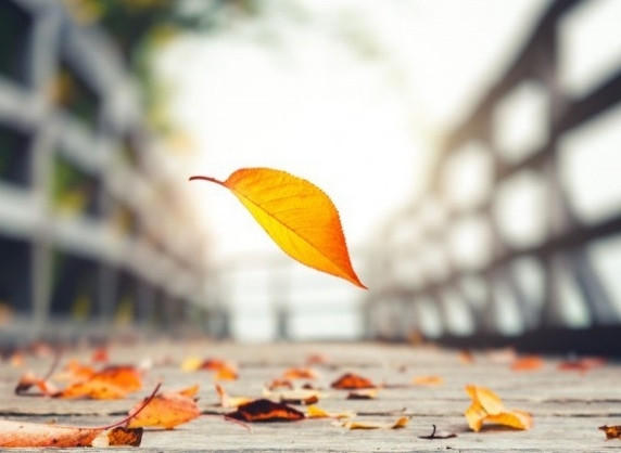 Минималните температури ще са между 5 и 10 deg Сутринта