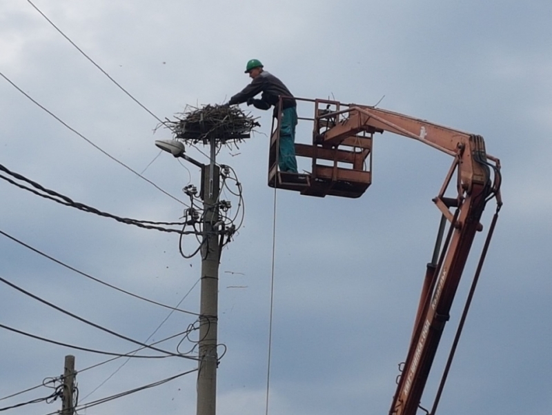 Жители на Лом и служители на ЧЕЗ подариха жилище на