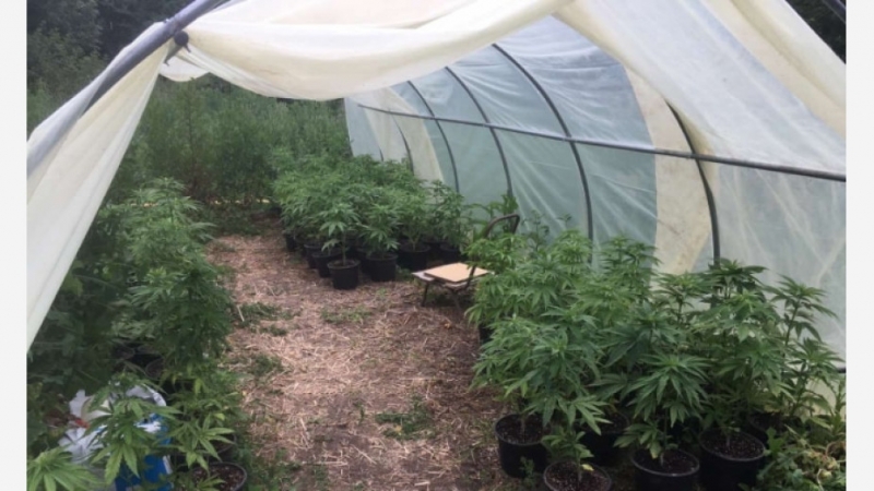 Служители на Главна дирекция Национална полиция и криминалисти от районното