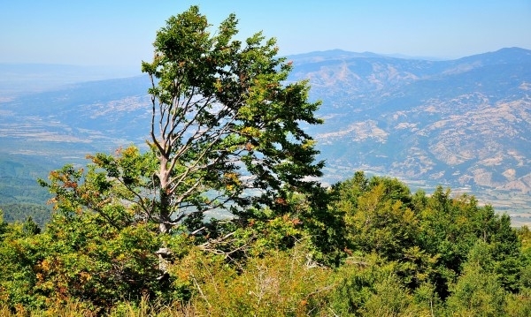 Днес облачността ще е променлива До обяд на места в