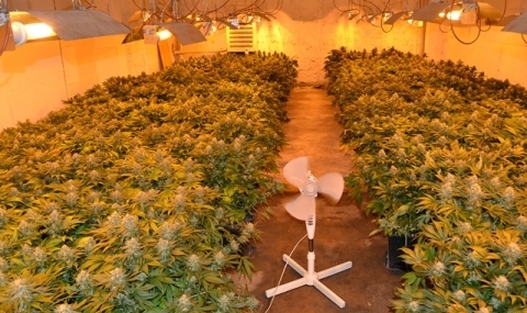 Офис на центъра на Сливен се оказа удобен за отглеждане