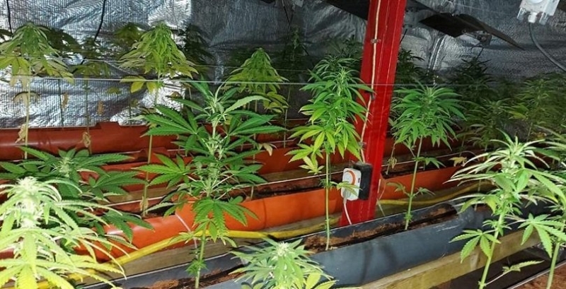 Районен съд – Лом одобри споразумение между прокуратурата и защитата