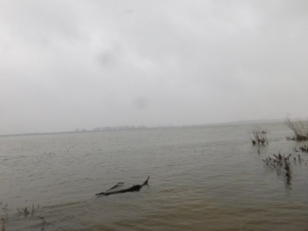 Нивото на Дунав край Лом днес се понижи но денонощното