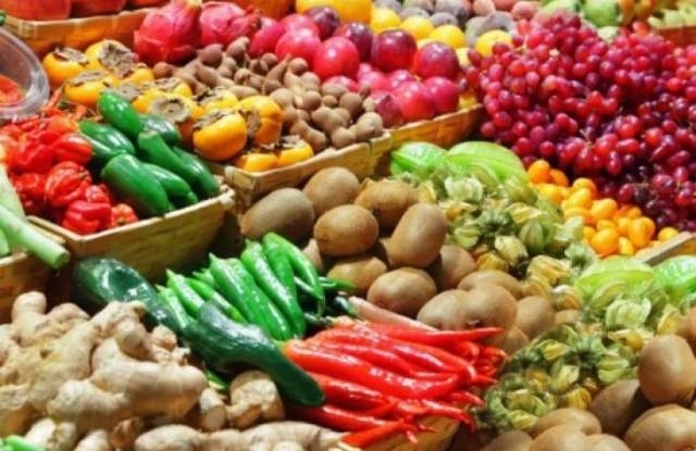 Генетично модифициран организъм съкратено ГМО е организъм чийто гени са