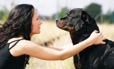 Женската истерия никога не води до нищо добро Този факт