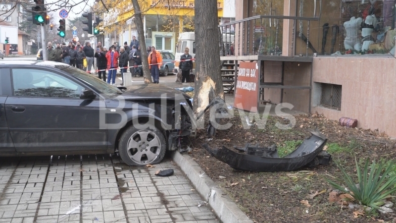 Освободиха от ареста 18 годишния младеж който прегази и уби 87 годишен