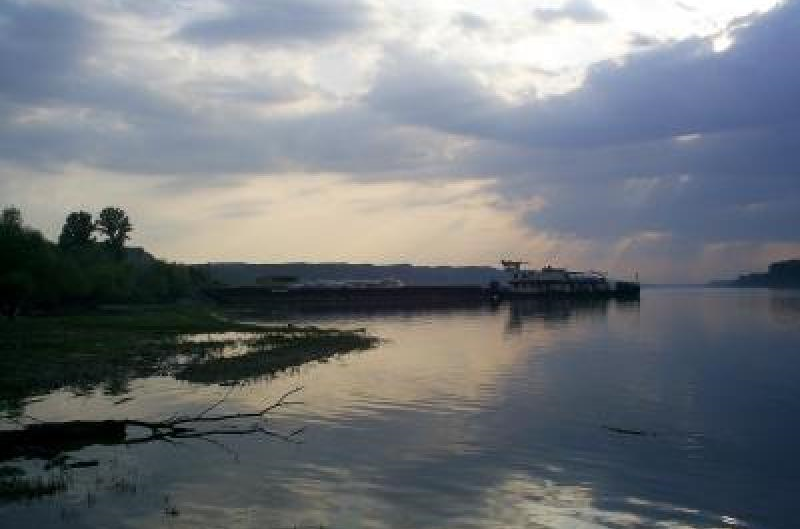 Инспекторите от сектор Рибарство и контрол извършват масирани проверки по