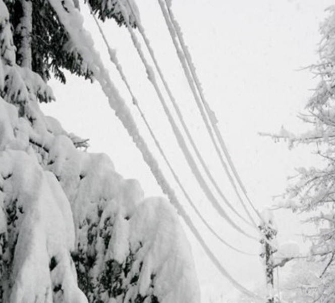 За пореден път първият обилен снеговалеж остави без ток населени