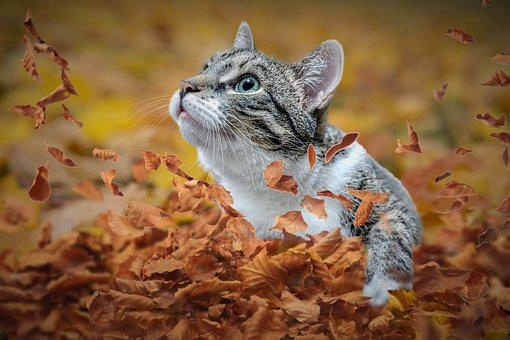 Днес ще има променлива облачност Само на отделни места ще