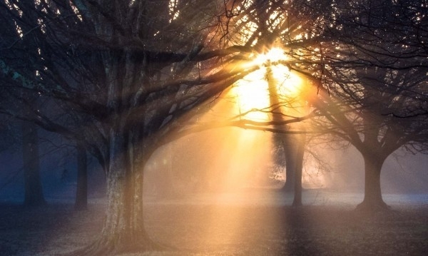 През следващото денонощие през страната ще премине слабо изразен студен