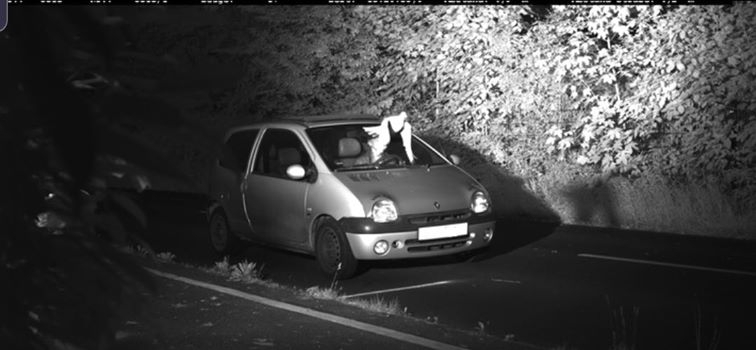 Шофьор в Германия бе спасен от 105 евро глоба заради