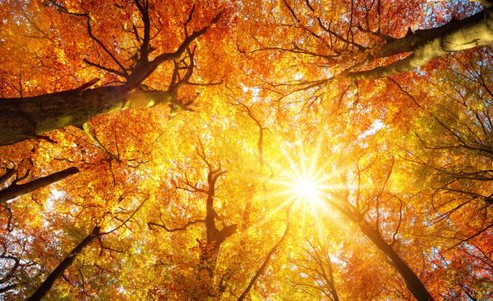 През октомври средните минимални температури са между 4 и 9