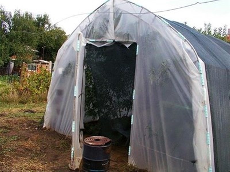 Служители от Гранично полицейско управление Русе разкриха оранжерия с