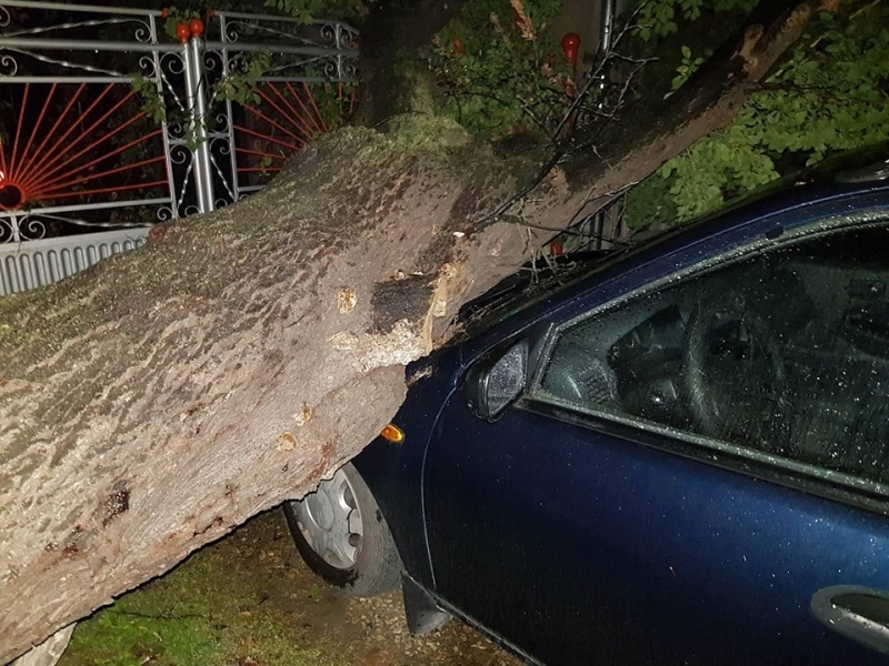 42 улици останаха без ток тази нощ в Берковица заради ураганния
