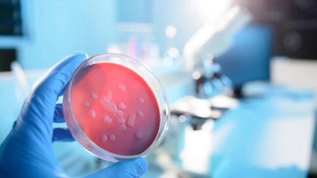 Трети човек почина от усложнения причинени от разпространение на пневмония