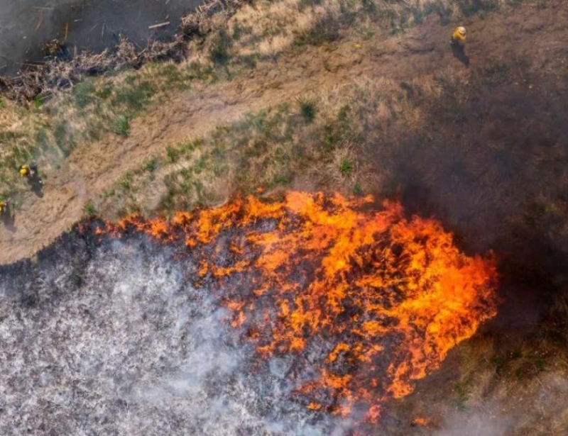 Българка е арестувана във връзка с пожара в гръцкия остров