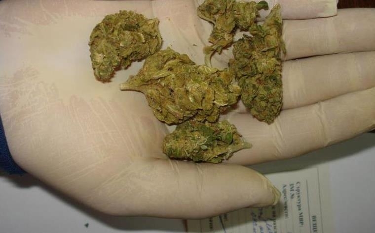 Полицаи претърсиха дома на мъж в белослатинското село Попица съобщиха