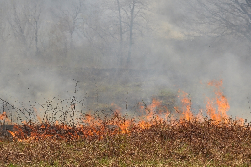 Пожар вилня край язовир Огоста в Монтана съобщиха от полицията