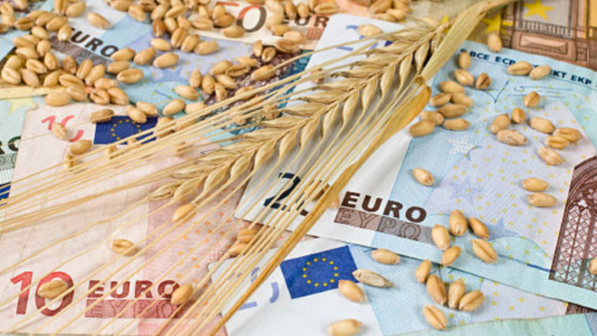 Спад в цените на основните зърнени стоки по световните борсови