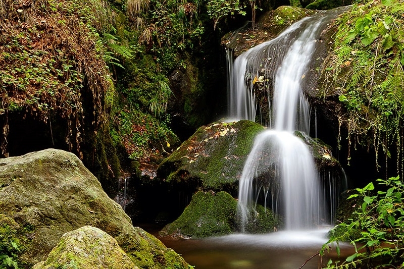 На 25 юни събота община Берковица организира поход до местност