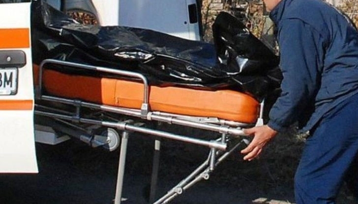 Истинска трагедия се е разиграла в навечерието на коледните празници