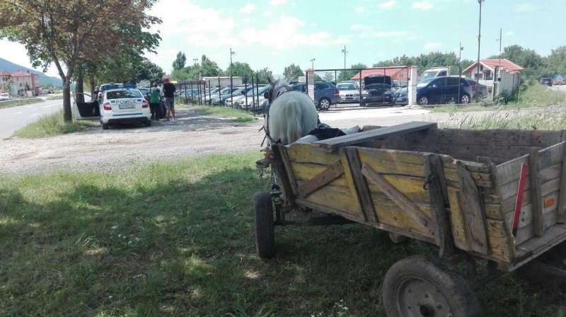 Конфискуваха коня и каруцата на циганин във Враца /снимки/