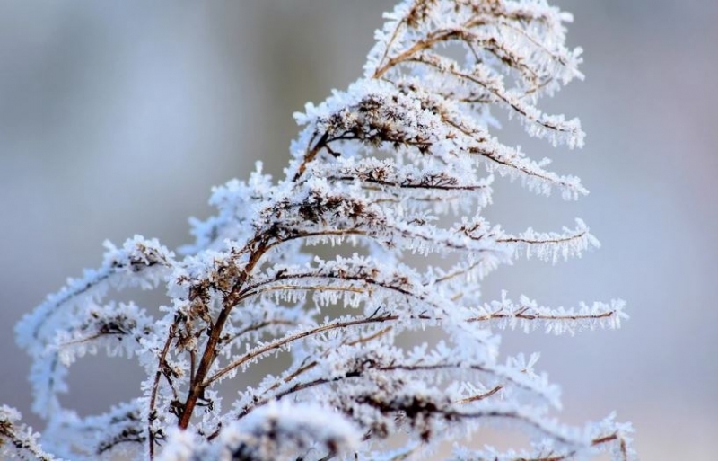 През нощта над по голямата част от страната ще е
