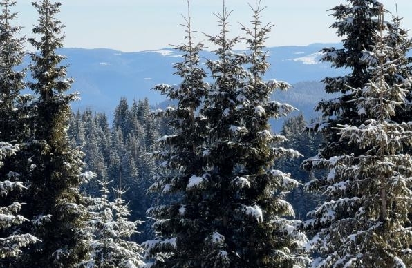 Днес ще бъде предимно слънчево но вечерта от югозапад облачността