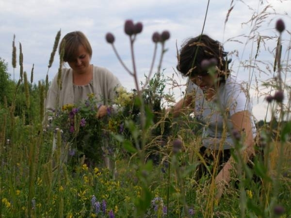 По около 100 лева на ден могат да си изкарат