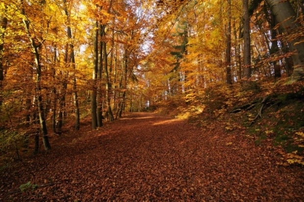 Затоплянето продължава, живакът удря 16 градуса