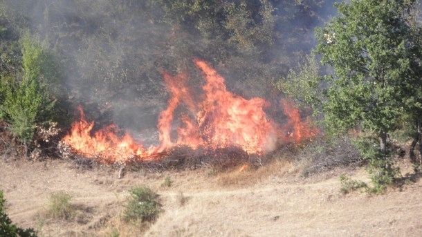 Пожари в сухи треви и храсти са гасили вчера огнеборците