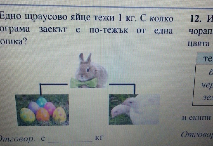 Едно щраусово айце тежи 1 кг С колко килограма заекът