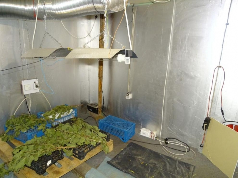 Задържаха двама души при спецакция срещу наркопроизводството в Русе съобщиах