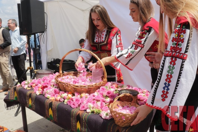 Цената на българската роза скочи