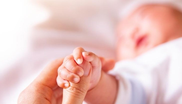 Вчера на територията на област Монтана са установени 48 нови