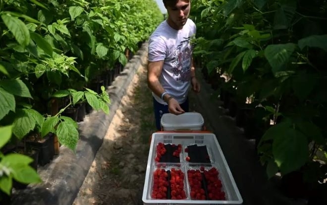 Спряха кранчето на измамници, точещи обезщетения за безработица