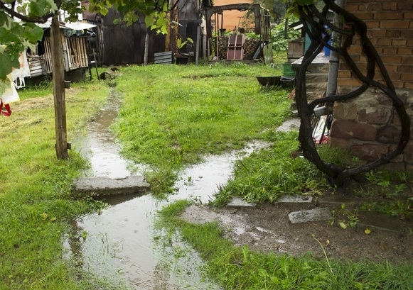Хора от Видинско пропищяха от свой съсед залял имота им