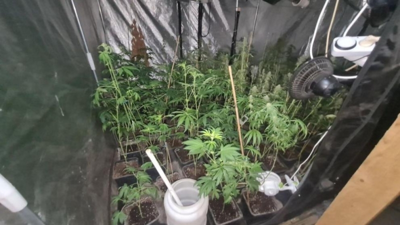 ГДБОП разби престъпна група за разпространение на наркотици в София съобщиха от МВР МВР
Специализираната операция