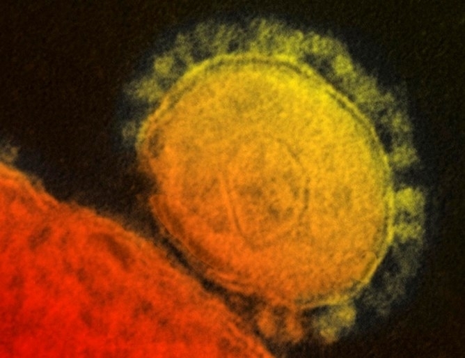 В Румъния отново са потвърдени рекорден брой нови случаи на