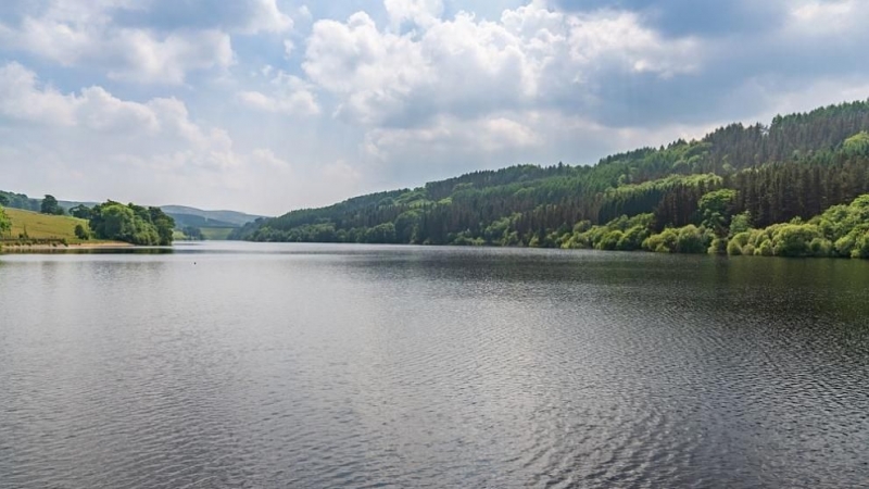 Областният управител на Русе Галин Григоров е разпоредил да бъдат